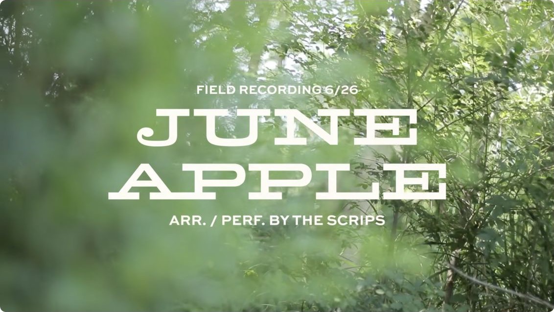 June Apple title frame from The Scrips’ June 2026 outdoor field recording