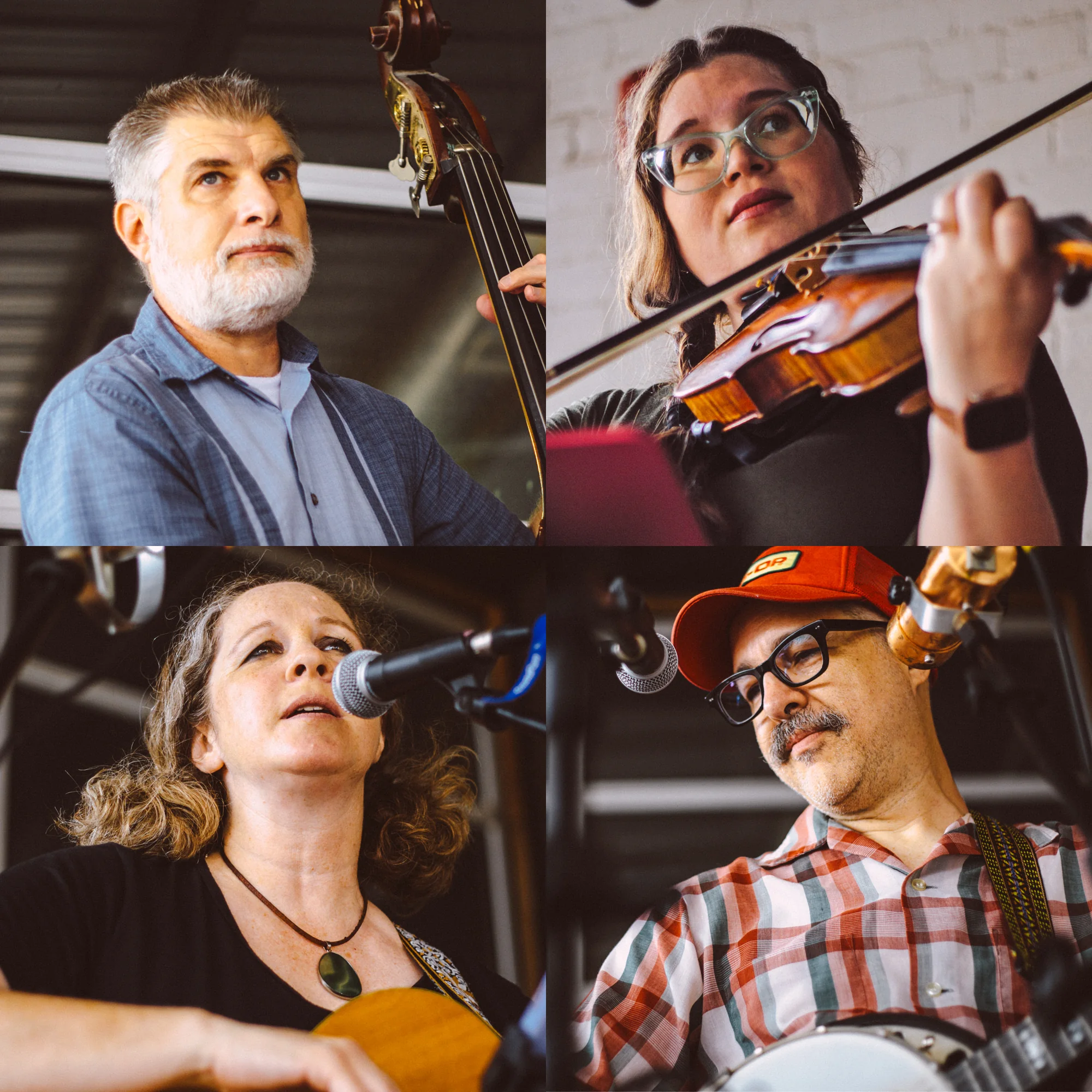 Four color performance portraits of The Scrips